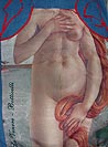 Birth of Venus Apron